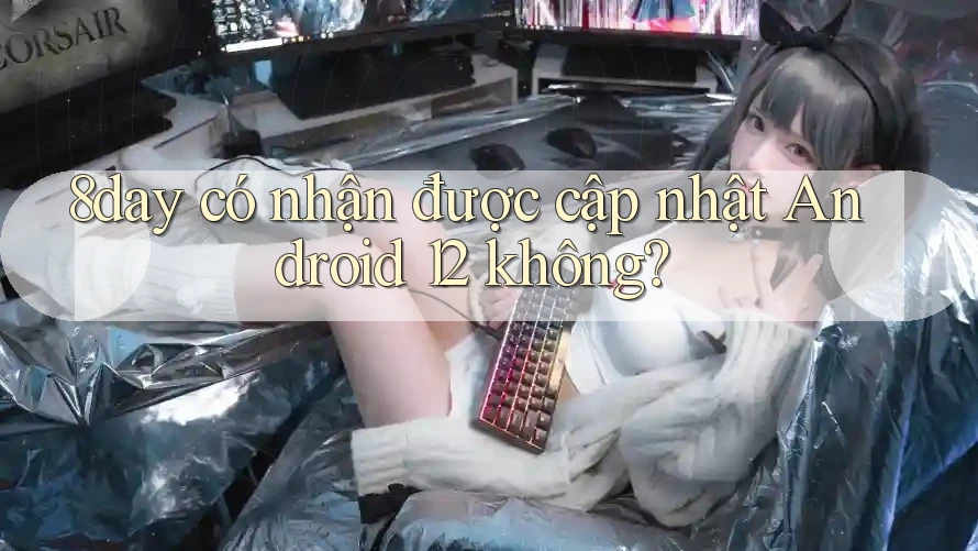 8day có nhận được cập nhật Android 12 không?