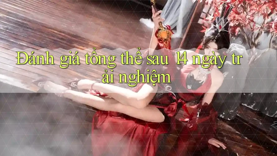 Đánh giá tổng thể sau 14 ngày trải nghiệm