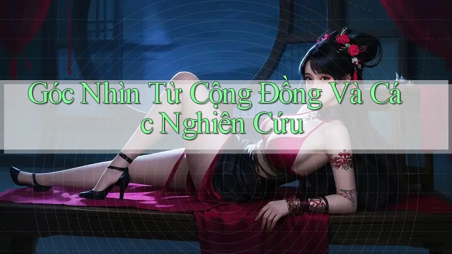 Góc Nhìn Từ Cộng Đồng Và Các Nghiên Cứu