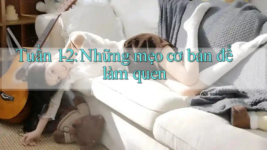Tuần 1-2: Những mẹo cơ bản để làm quen