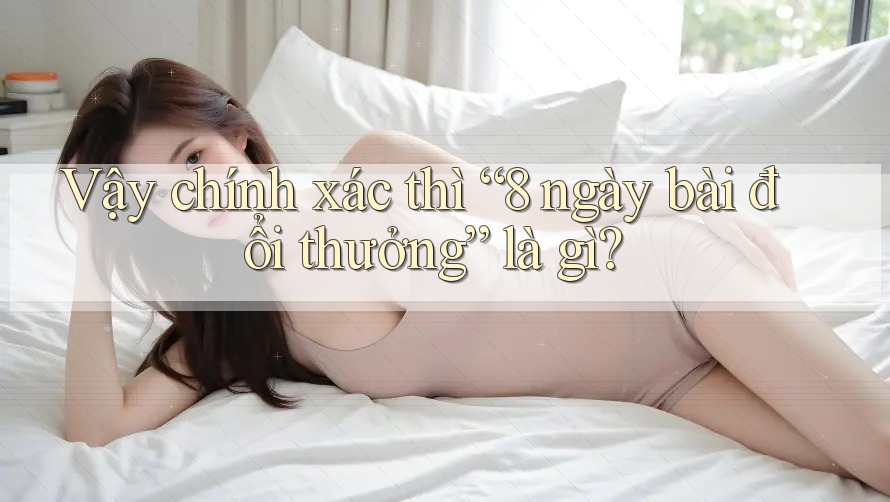 Vậy chính xác thì “8 ngày bài đổi thưởng” là gì?